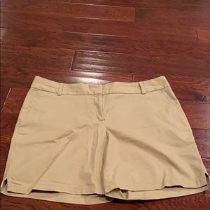 Loft shorts